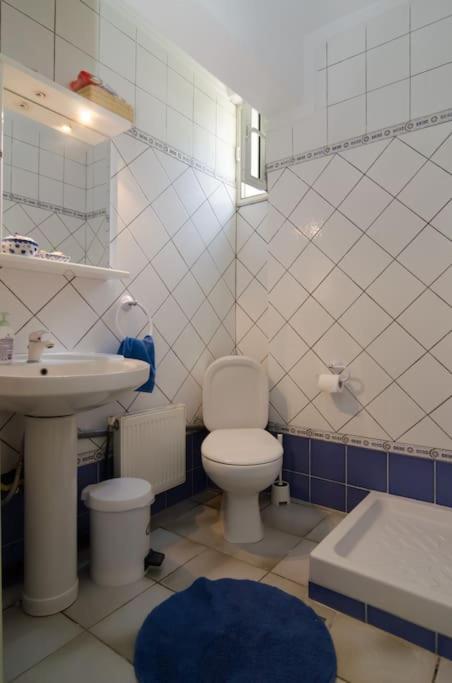 Вилла Wonderful House With Private Garden Флогита Экстерьер фото