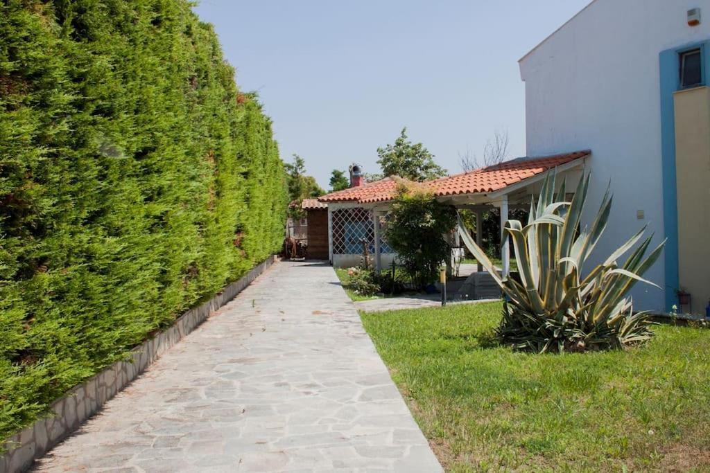 Вилла Wonderful House With Private Garden Флогита Экстерьер фото